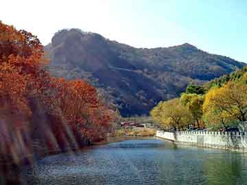 新澳天天开奖资料大全旅游团，活性炭市场价格